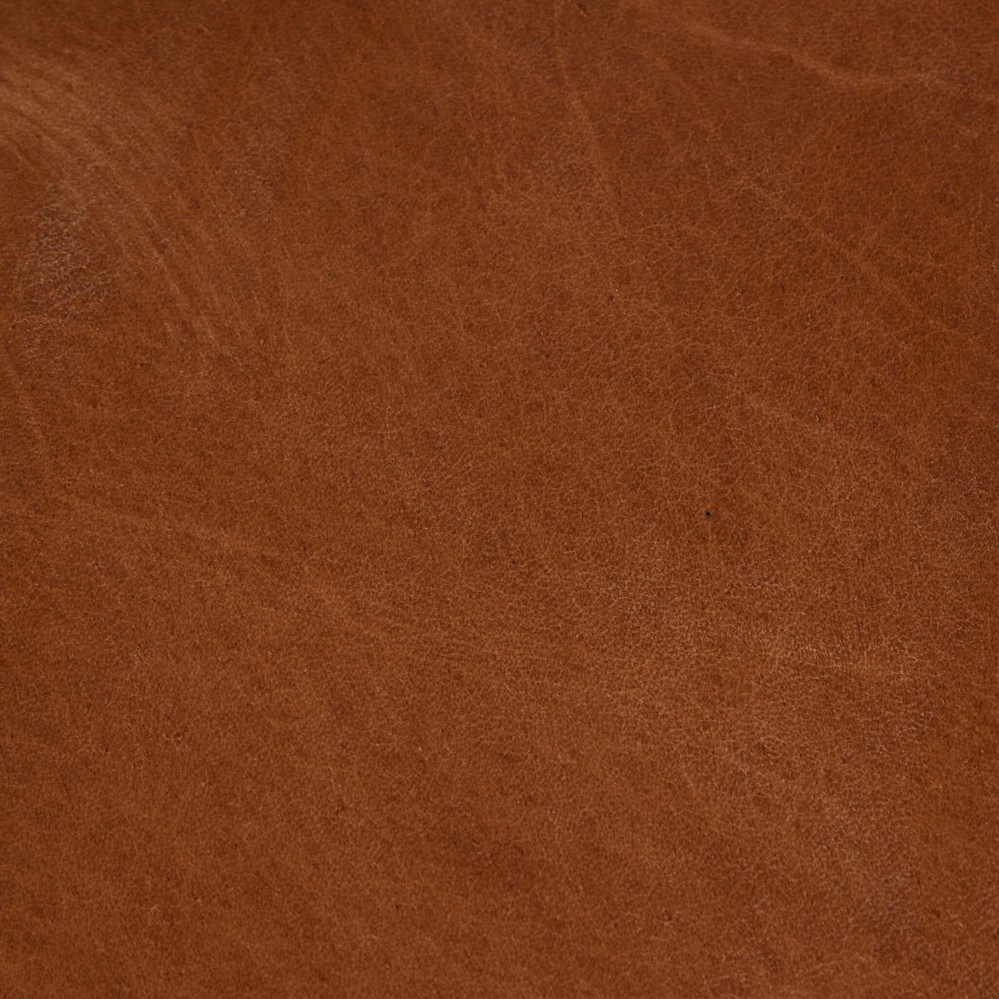 Leather texture swatch Baden Counter Stool in Haven Tobacco top-grain leather with a minimalist frame