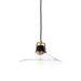 Novak 10-inch hand-hammered antique brass pendant light with clear glass detail 
