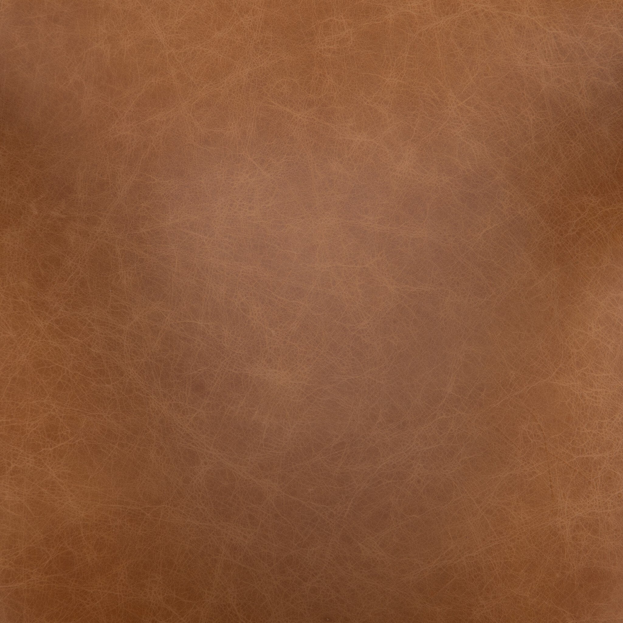 Brown leather texture background. Hawkins Dining Chair in Sonoma Butterscotch top-grain leather with a sculpted open-back frame color swatch. 